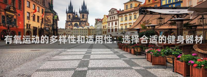 风速体育官网下载平台是正规平台吗安全吗：有氧运动的多