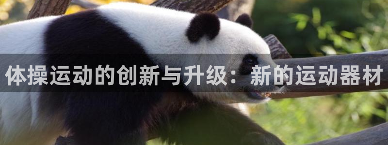 风速体育官方正版app代理：体操运动的创新与升级：新