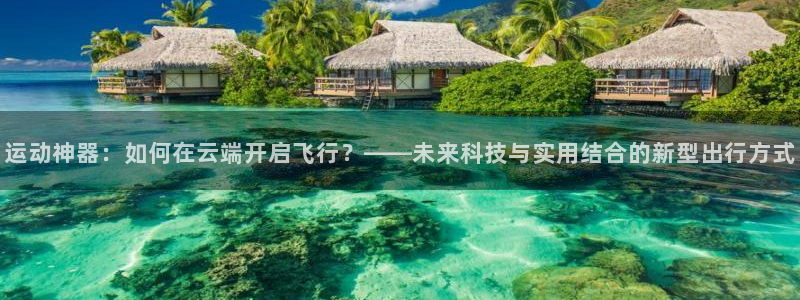 风速体育官方正版app集团简介：运动神器：如何在云端开启飞行