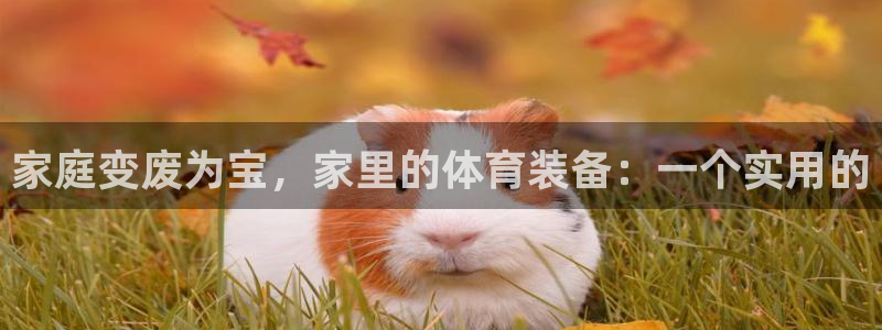 风速体育官网下载招商电话：家庭变废为宝，家里的体育装备：一个