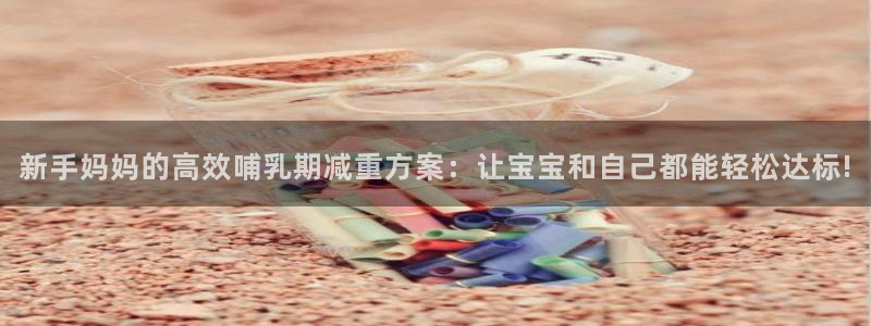 风速体育官方正版app官网