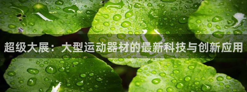 风速体育官网下载平台注册要钱吗安全吗：超级大展：大型运动器材