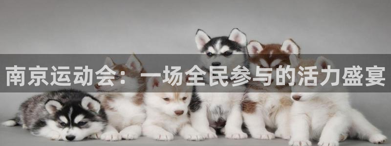 风速体育官网下载招商电话