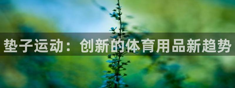 风速体育官网下载招商电话是多少啊