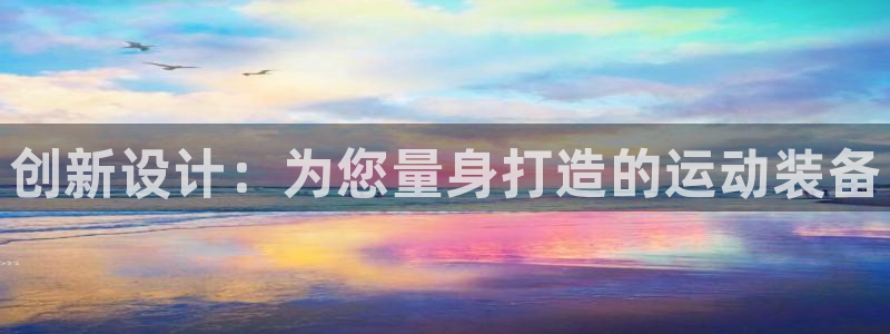 风速体育官方正版app集团简介