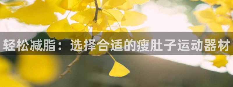 风速体育官网下载平台:轻松减脂:选择合适的瘦肚子运动器材