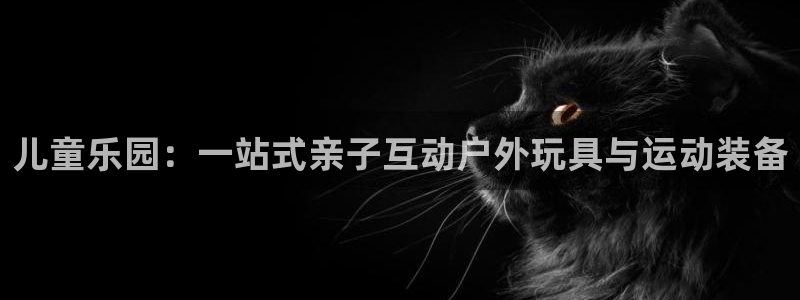 风速体育官网下载是干嘛的公司：儿童乐园：一站式亲子互