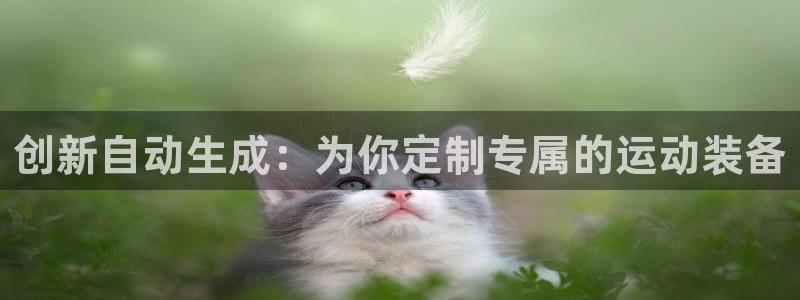 风速体育官网下载平台APP：创新自动生成：为你定制专属的运动