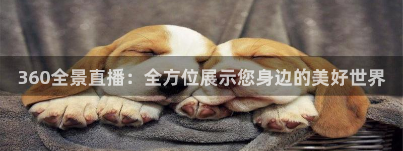 极速体育篮球免费直播：360全景直播：全方位展示您身边的美好世界