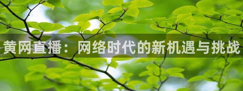极速nba直播体育直播：黄网直播：网络时代的新机遇与挑战