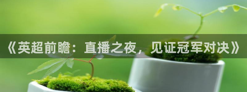 极速体育直播手机：《英超前瞻：直播之夜，见证冠军对决》