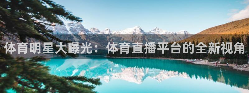 英超直播吧极速体育：体育明星大曝光：体育直播平台的全新视角