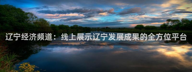 极速体育直播英超：辽宁经济频道：线上展示辽宁发展成果的全方位平台