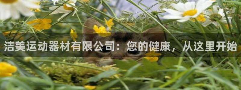 风速体育官网下载开户：洁美运动器材有限公司：您的健康