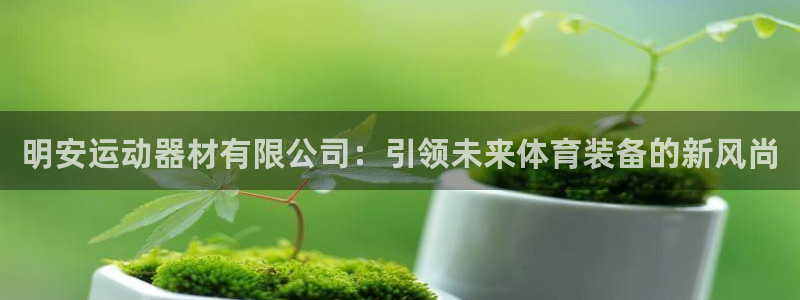 海南风速体育官网下载发展怎么样：明安运动器材有限公司