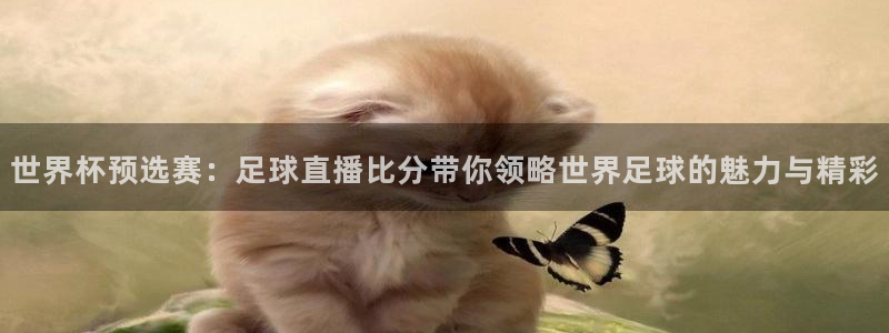 nba赛事直播极速