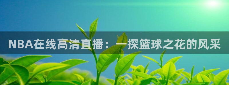 体育极速直播在线观看：NBA在线高清直播：一探篮球之花的风采